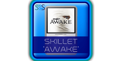 Skillet "Awake" - 2000s Rock Music Album